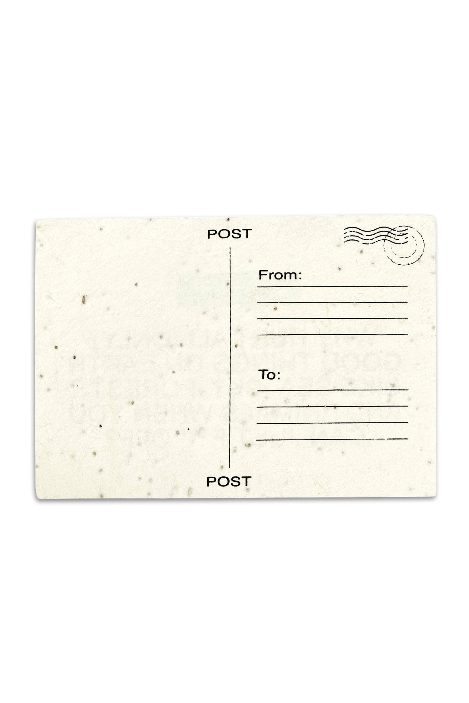 Wonder Grow Card daisy