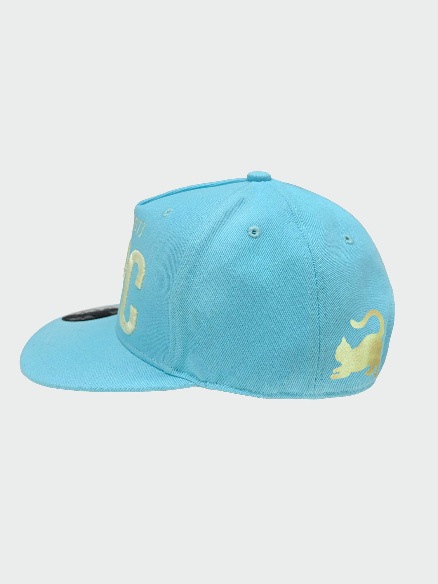 NPC Kitty Snapback Cap Acid Blue