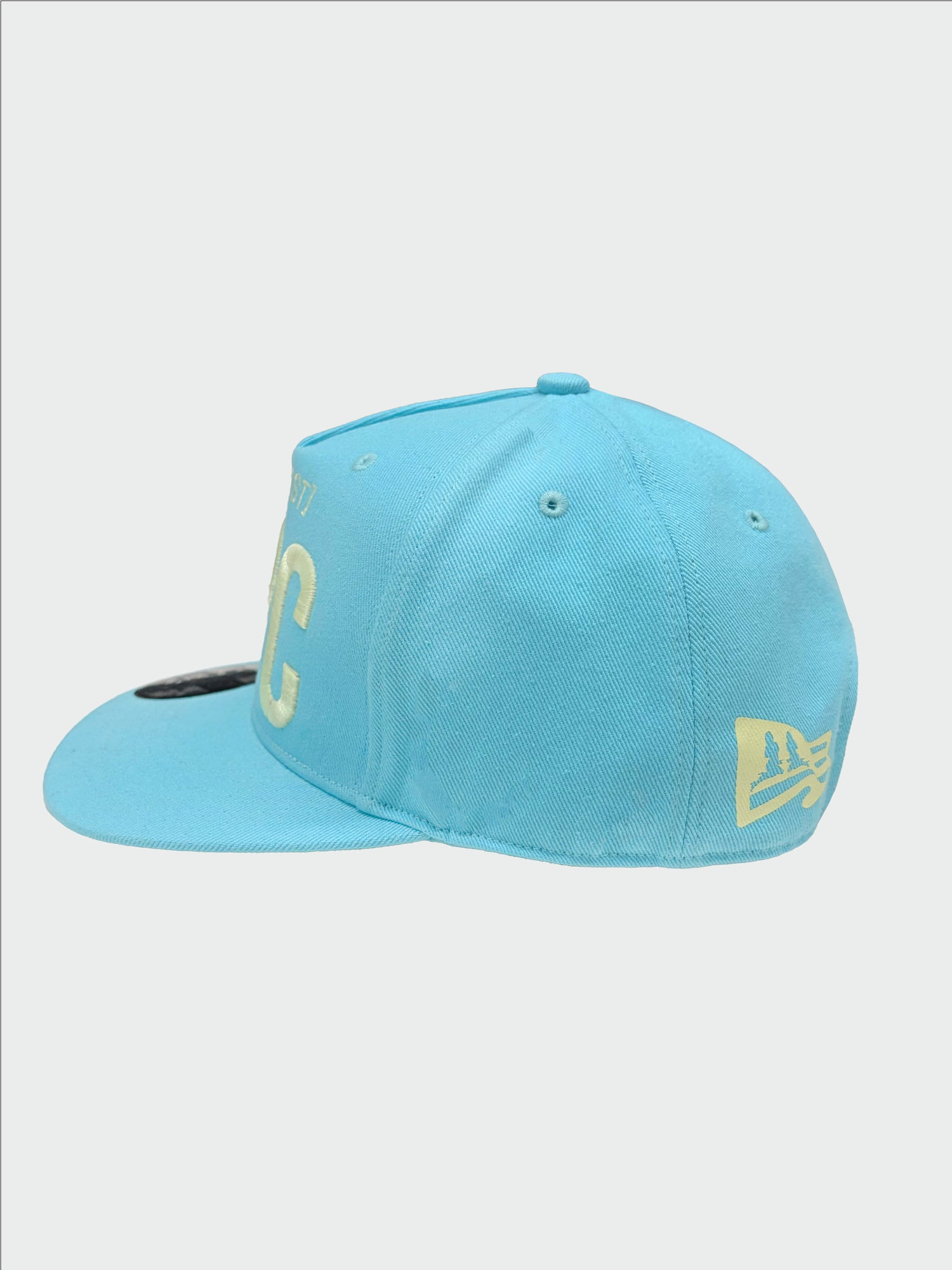 NPC Snapback Cap Acid Blue