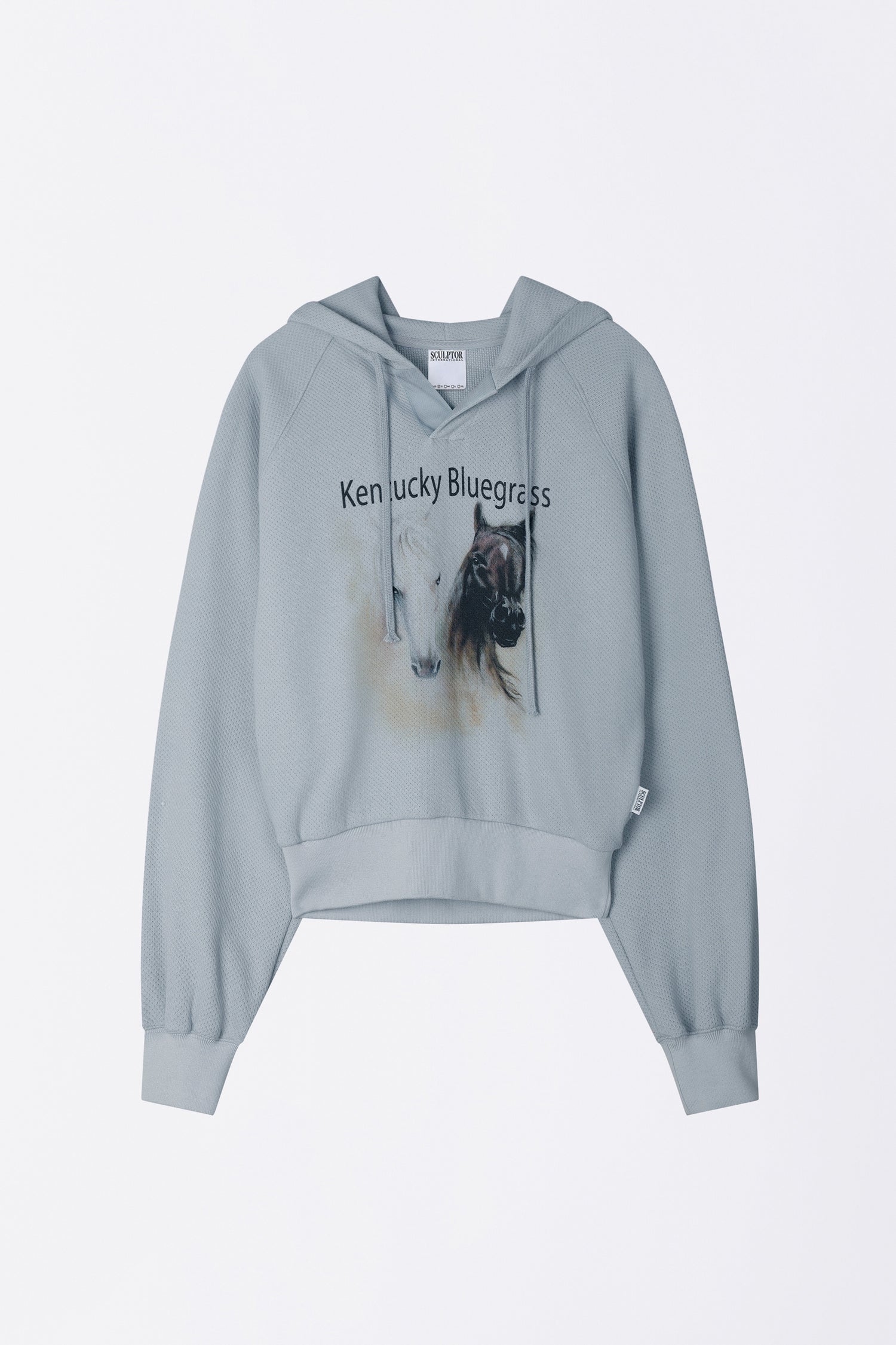 Kentucky Waffle Hoodie Baby Blue