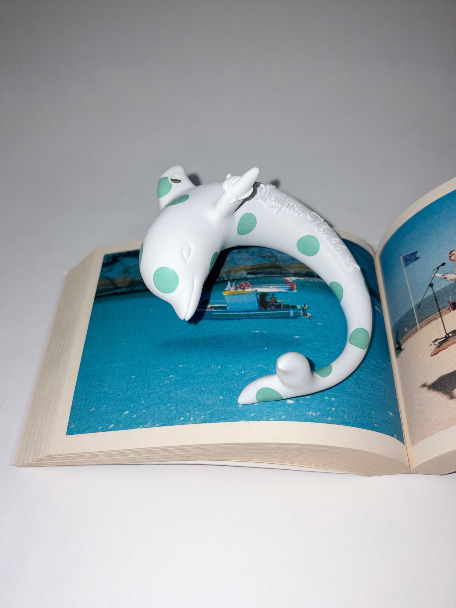 Dolphin Bangle Dot