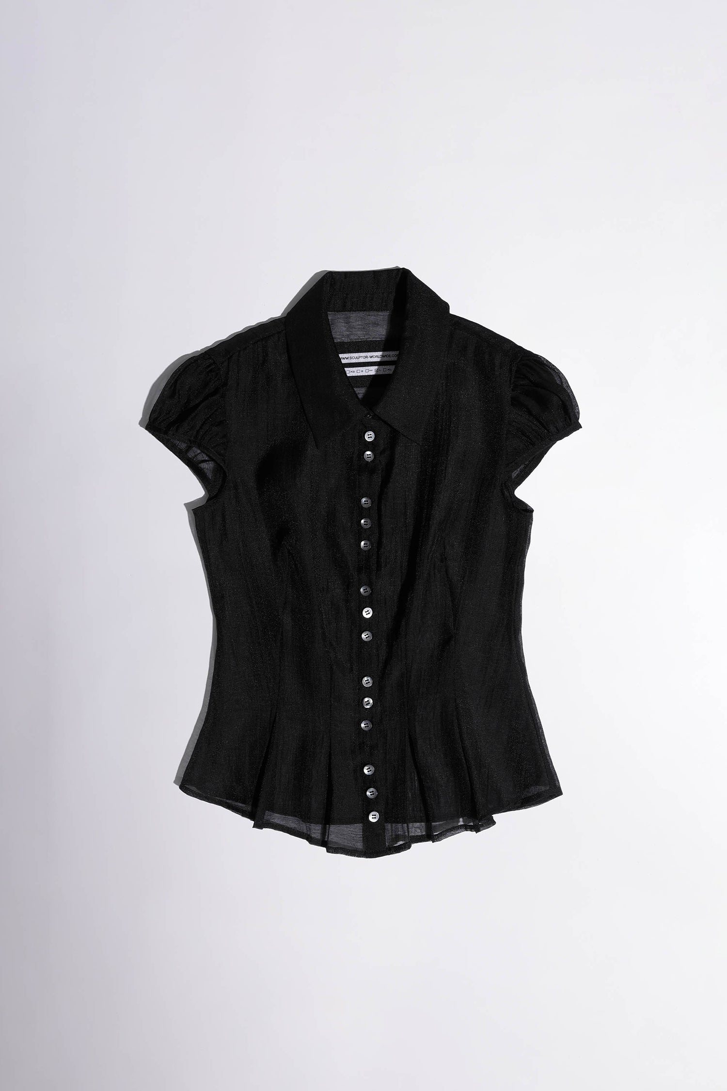 Sheer Pleated Hem Blouse Black