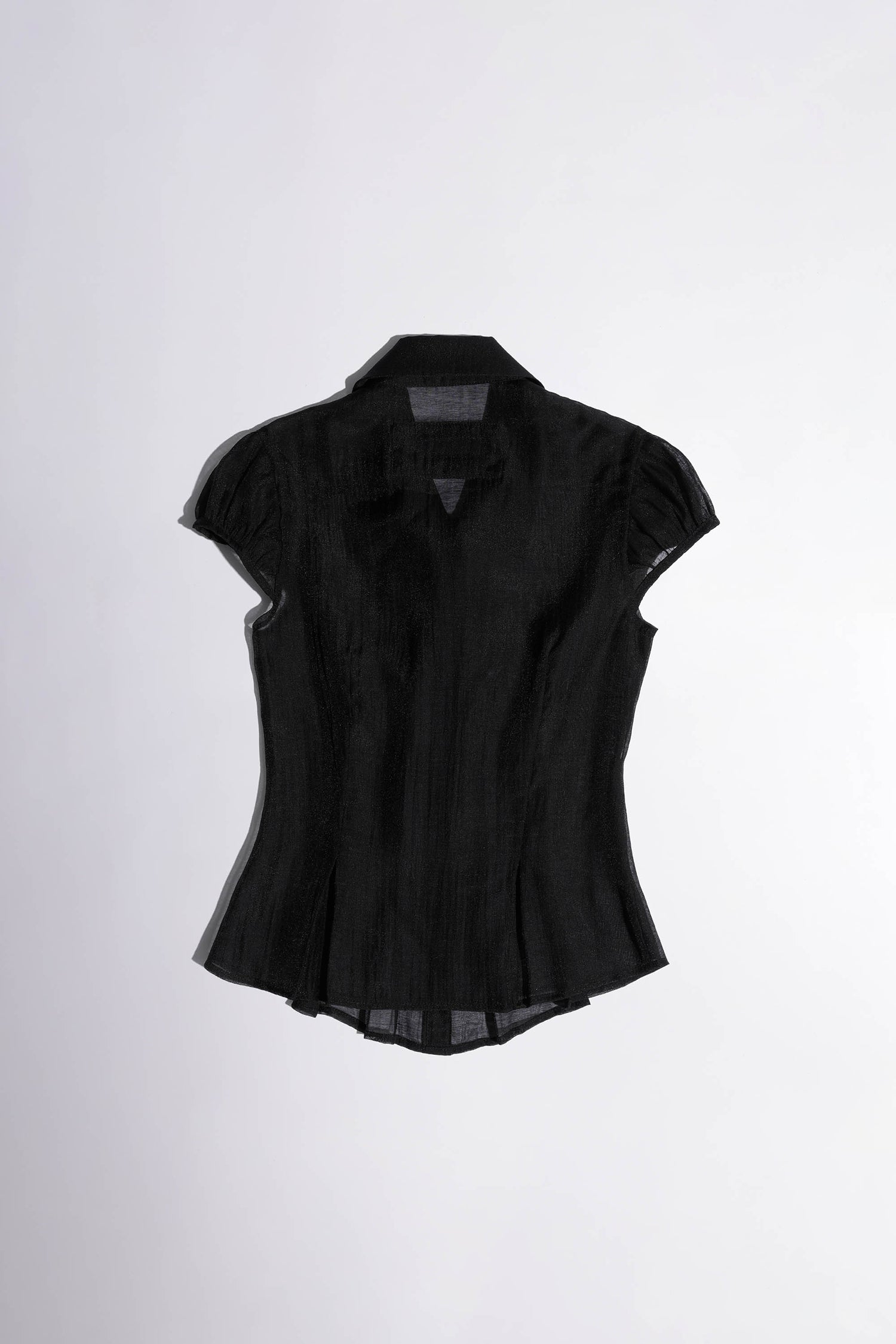 Sheer Pleated Hem Blouse Black