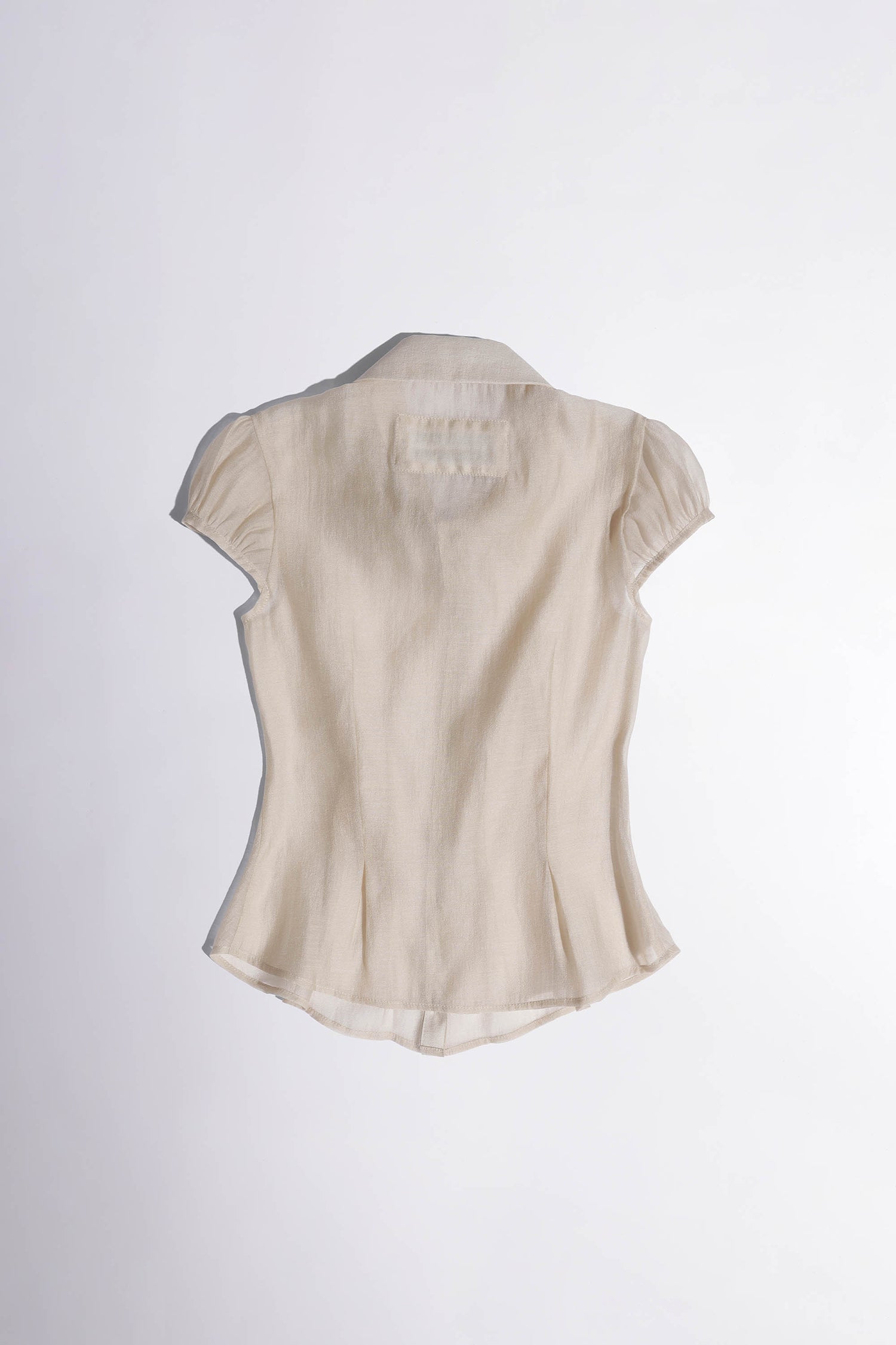 Sheer Pleated Hem Blouse Raw