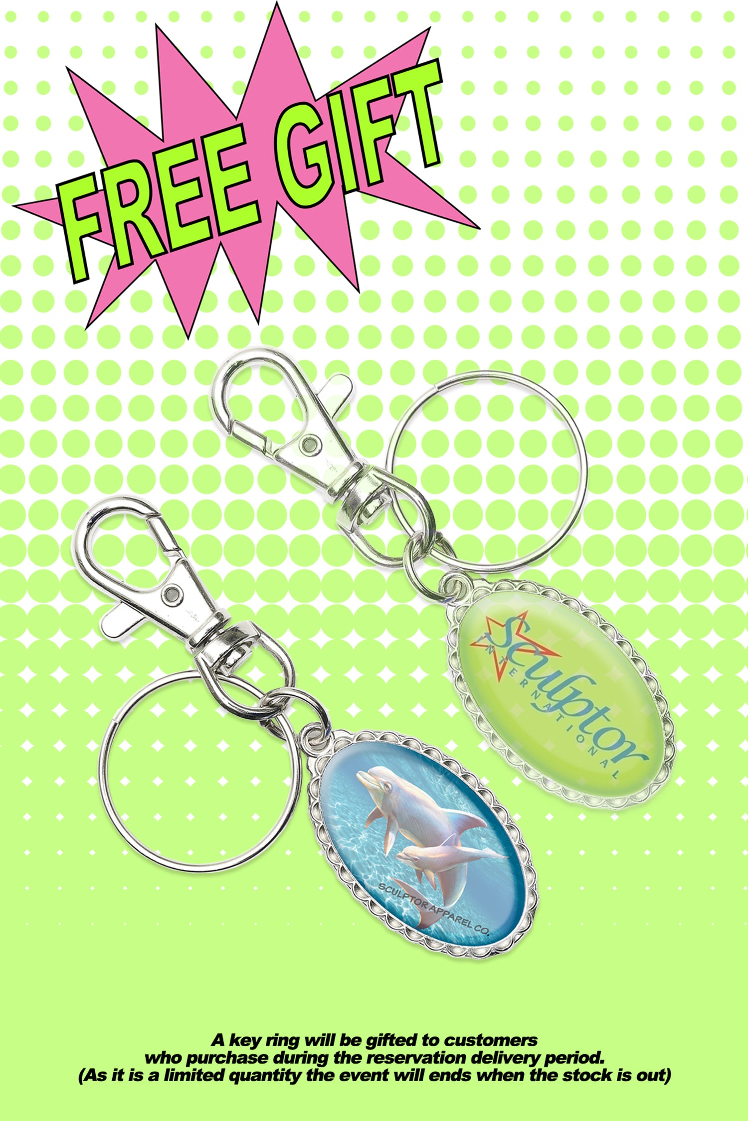 Dolphin-Star Logo Key Ring